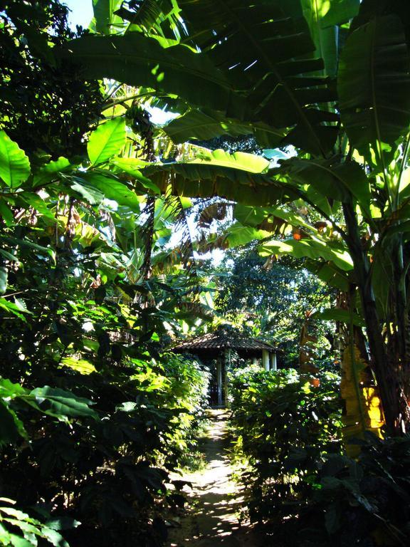 Chales Sitio Do Alemao Убажара Экстерьер фото